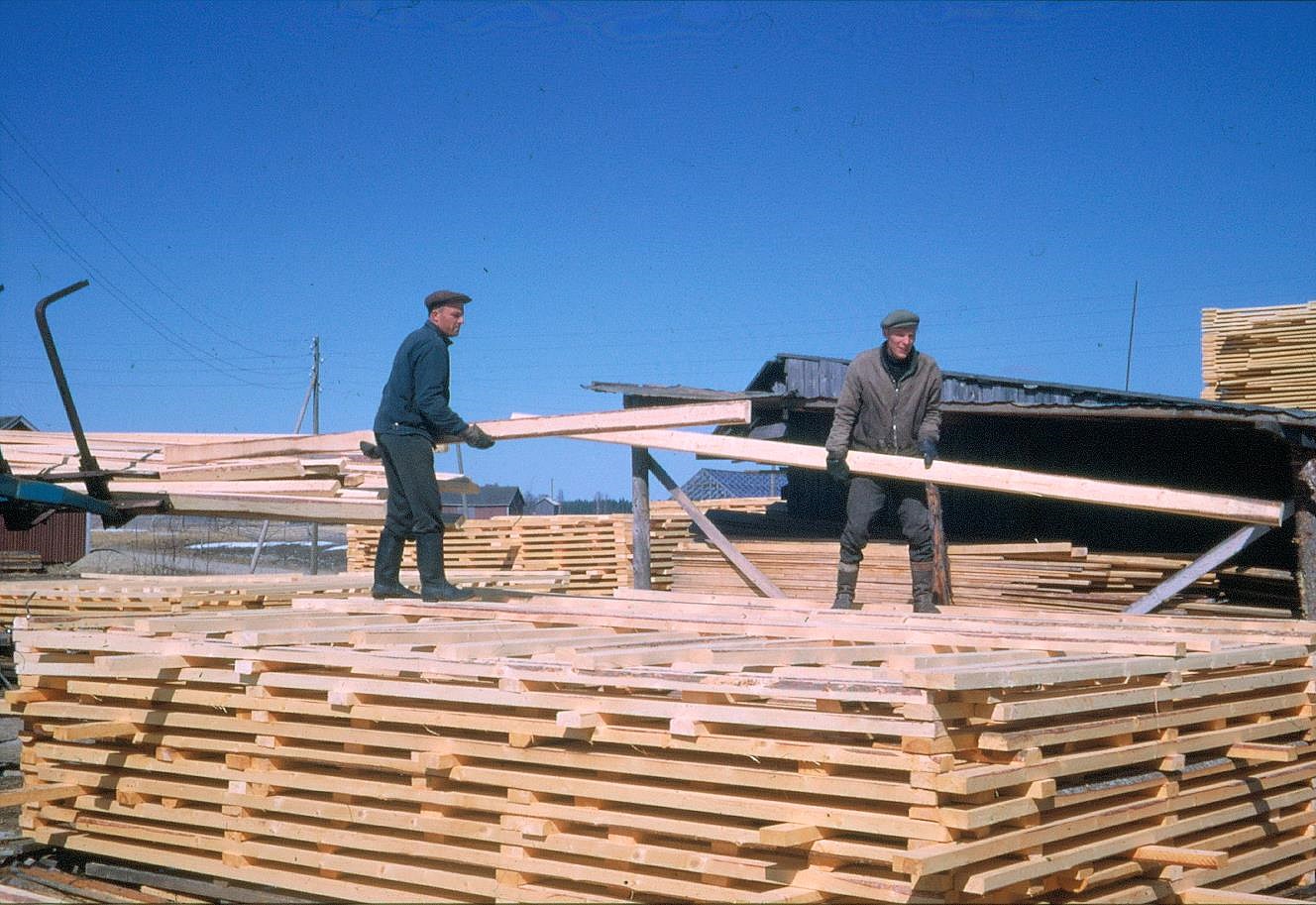 Levi Berg och Boris Lindblad stabbar plankor på sågbacken.