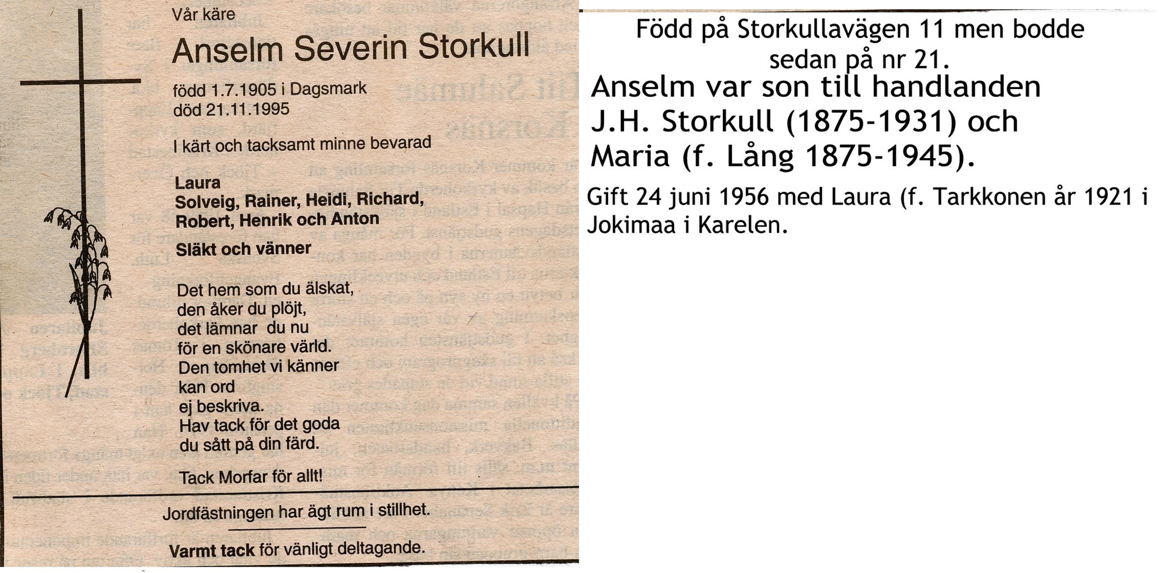 Storkull Anselm