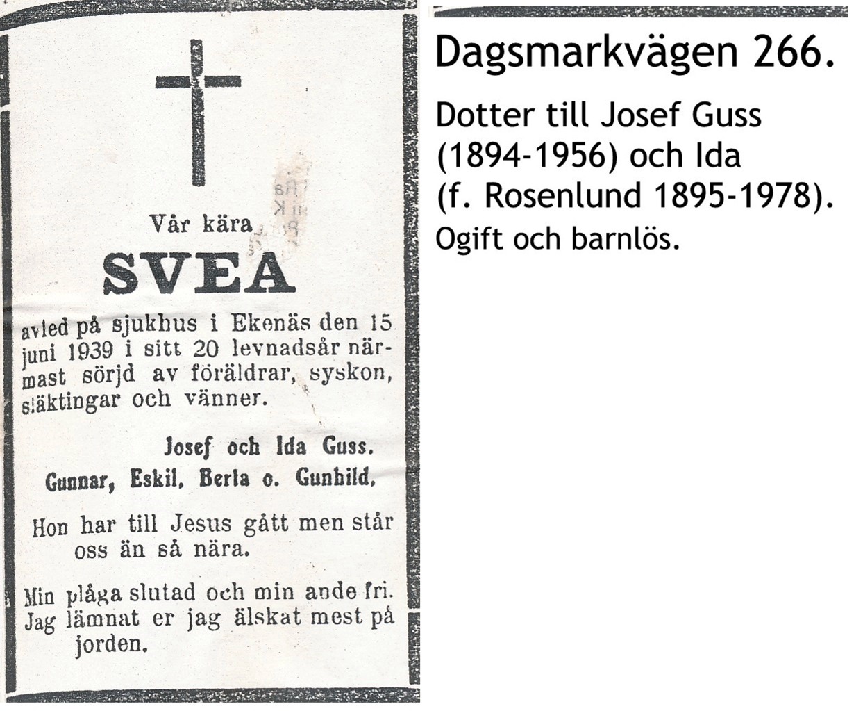 Guss Svea