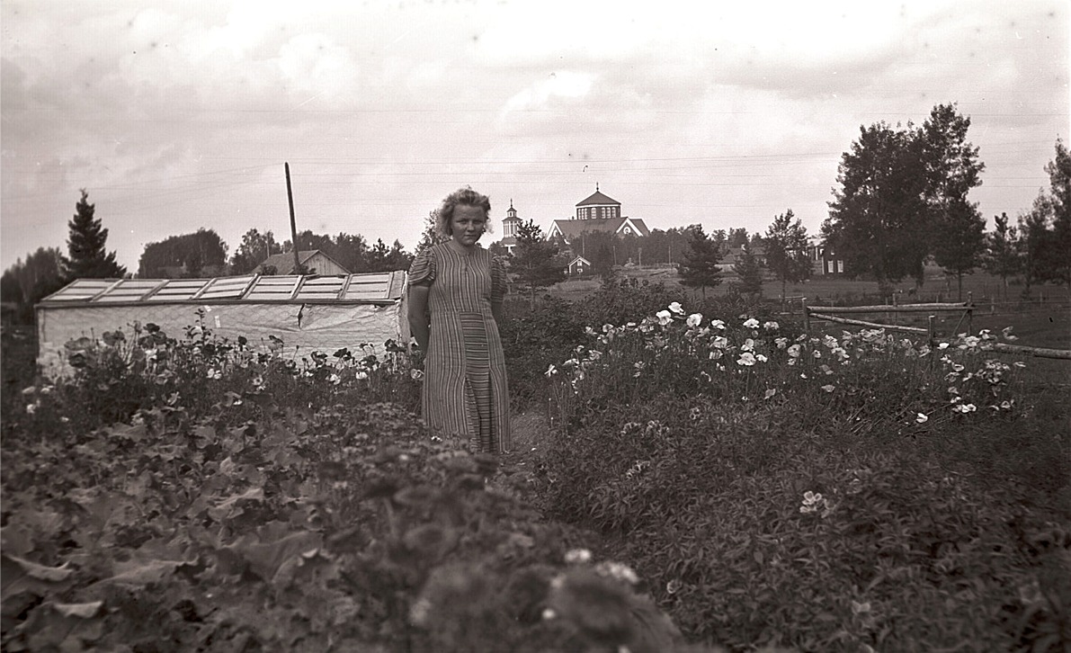 Greta Vesterlund visar upp sitt klubbland och växthus på Åsändan med kyrkan i bakgrunden.
