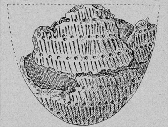 Figur 2. Lerkärl från stenåldern.