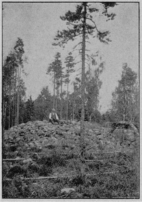 Figur 5. Stenröse i Hedkrok i Sideby.