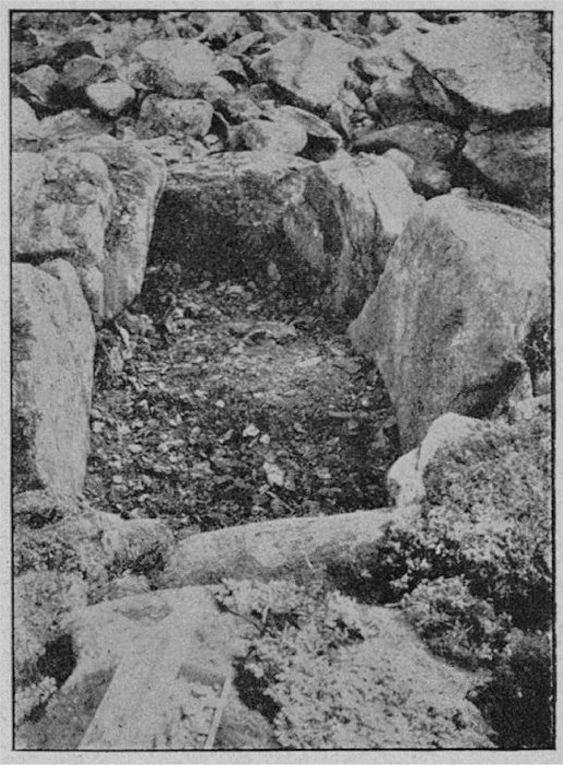 Figur 6. Stenkista i ett stenröse i Ömossa.