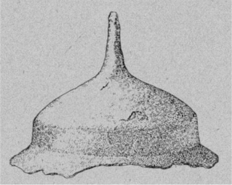 Figur 8. Sköldbuckla av järn.