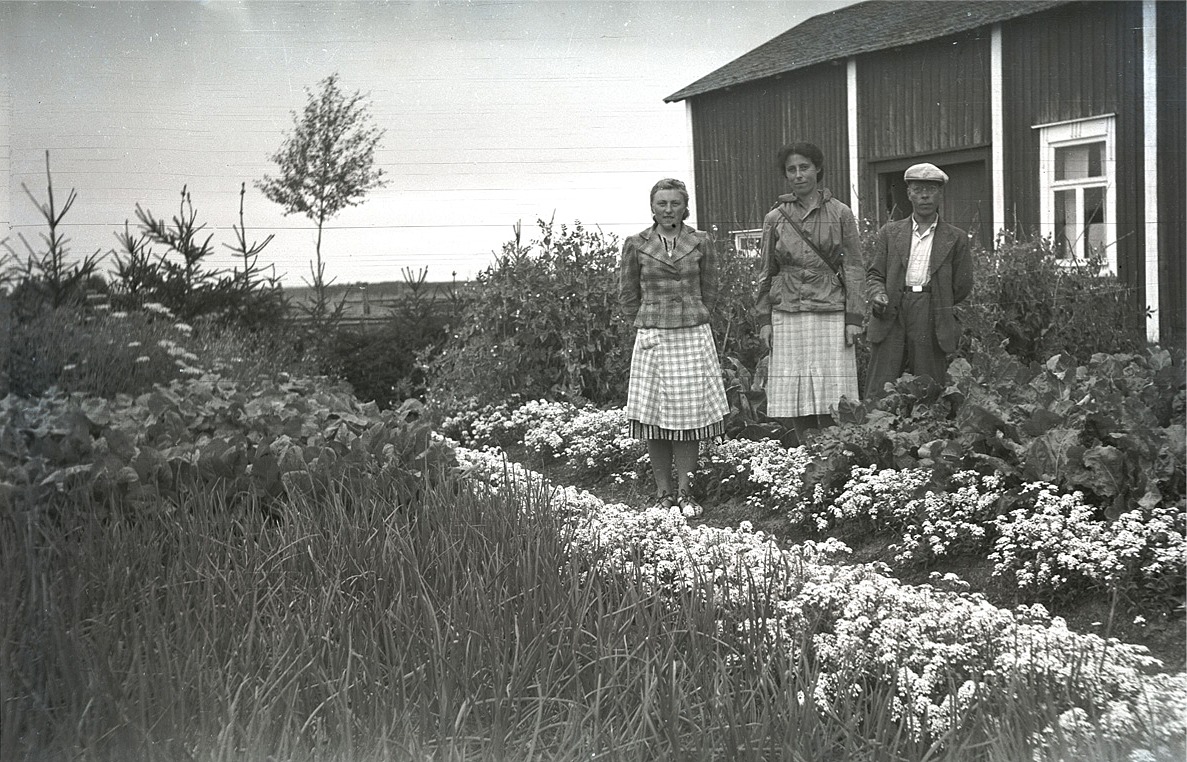Marita Ålgars med agr. Beaurain och Vidjeskog i sitt trädgårdsland.