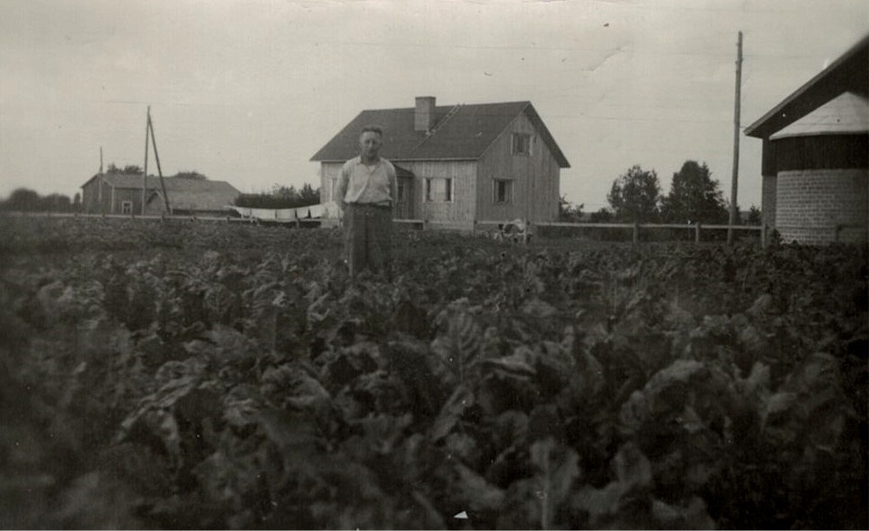 Runar Porander i sitt sockerbetsland vid gården och med silon till höger. I bakgrunden "Berginas flickoras".