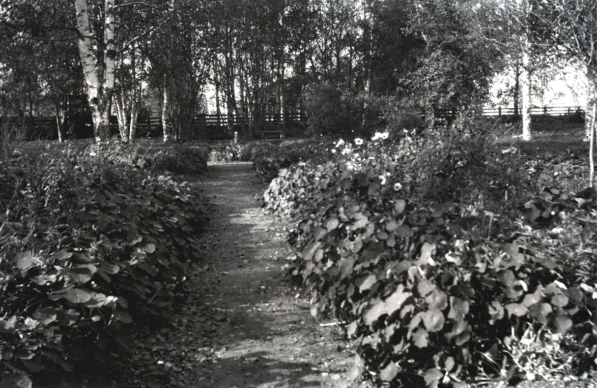 Med lite fantasin kan man se de färggranna blommorna i den prunkande trädgården vid södra folkskolan.