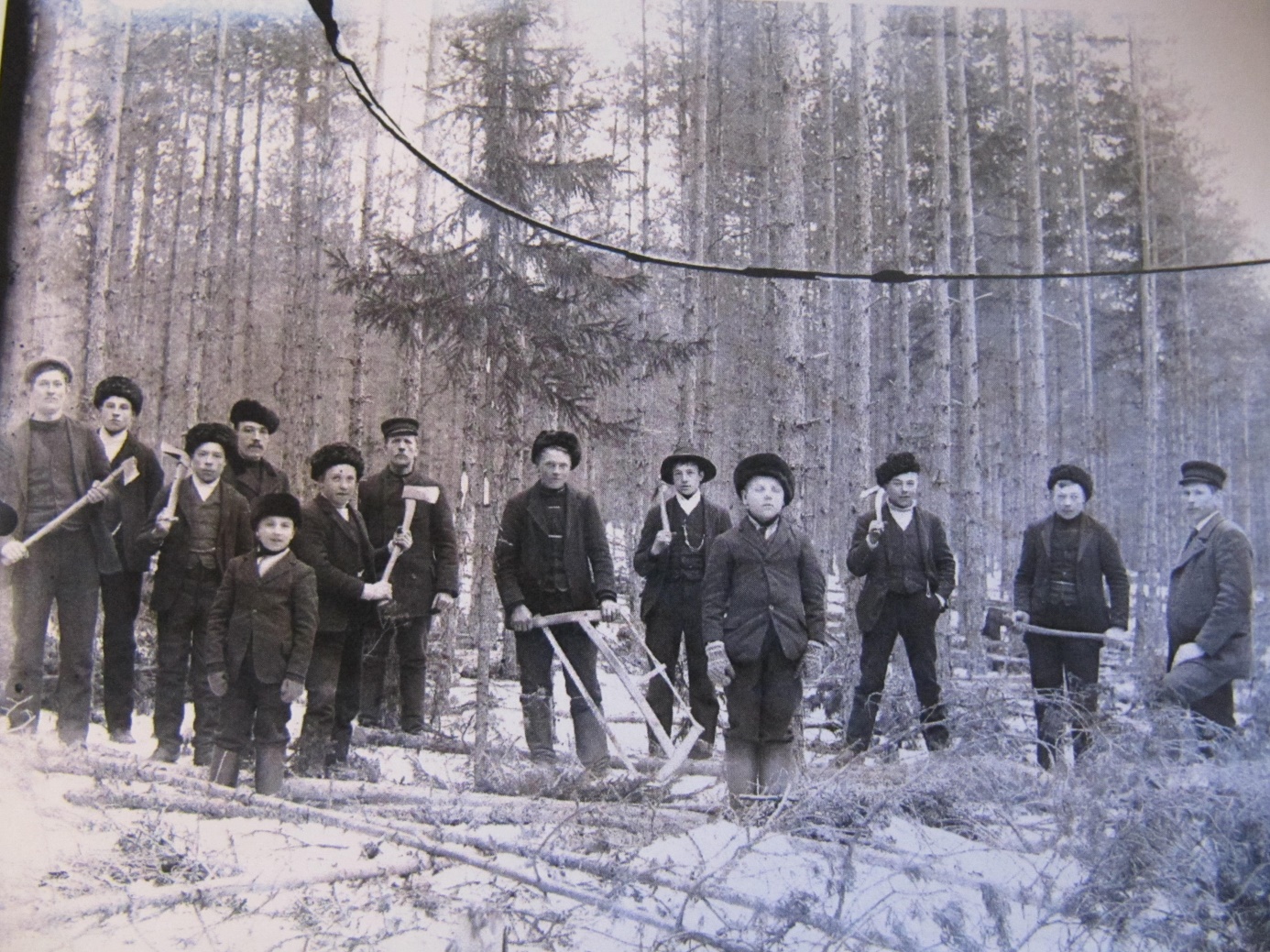 Här kursdeltagarna på en skogsskötarkurs på Byåsen, fotograferade av Viktor Nylund år 1912.