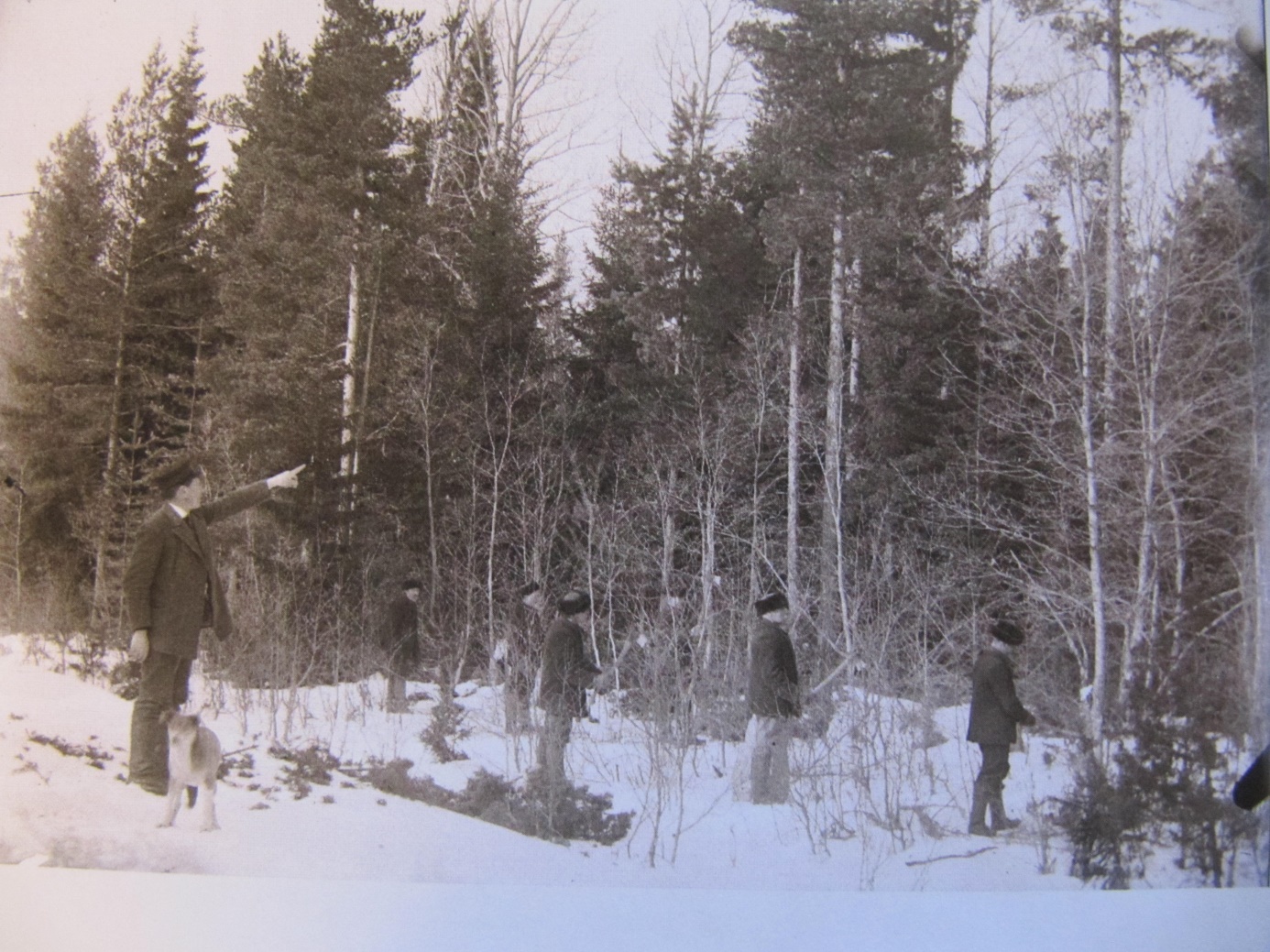 Skogsinstruktören Wikman visar kursdeltagarna på Byåsen år 1912 hur gallringar skall göras. Det var ju denne Wikman som värderade skogarna, som skulle skiftas i storskiftet.
