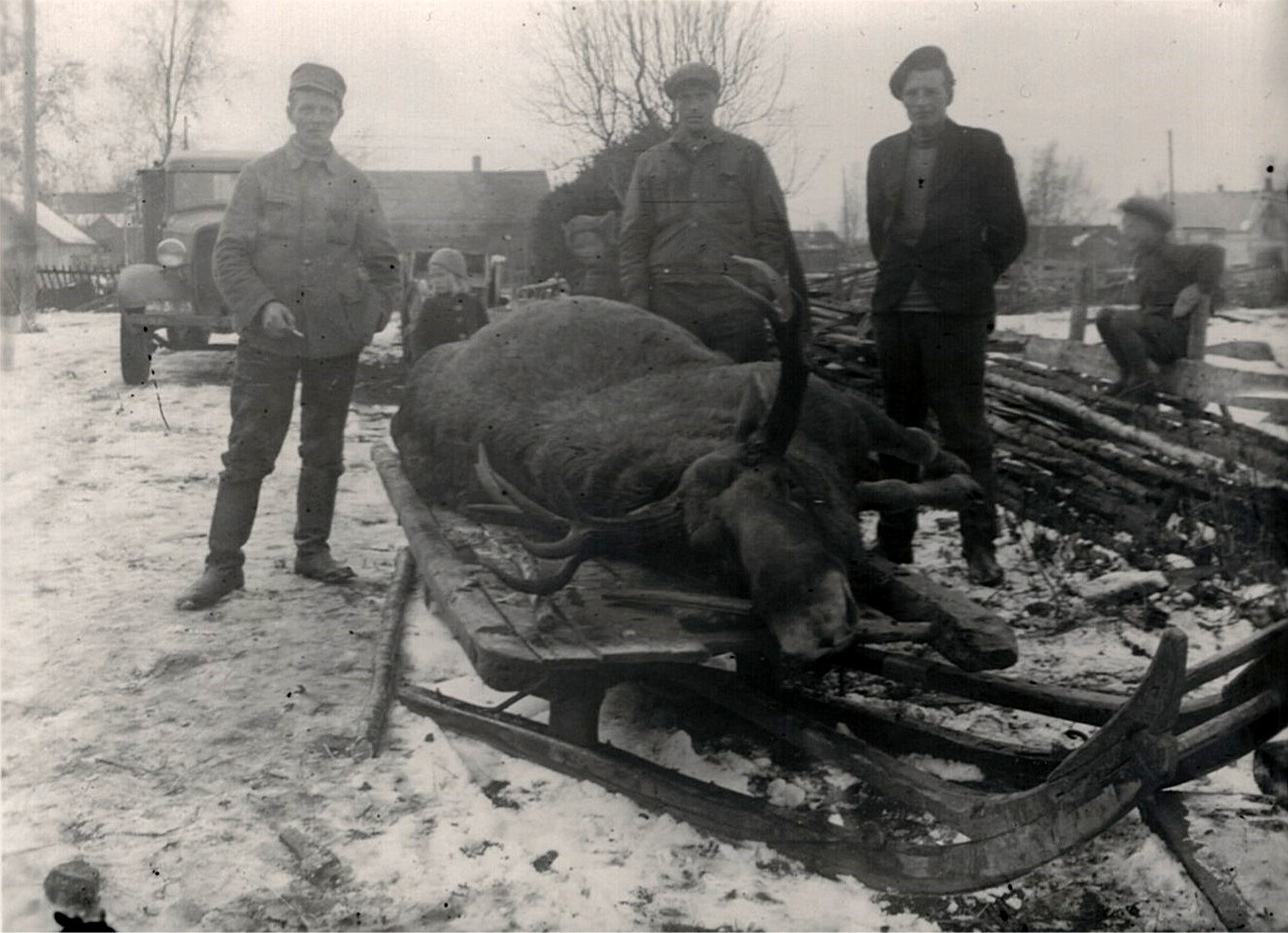 Den här älgtjuren fällde jägaren Runar Ingves från södra sidans jaktlag år 1946. Det här var den tiden en stor händelse eftersom de första älgarna i Lappfjärd fälldes året innan, alltså 1945.