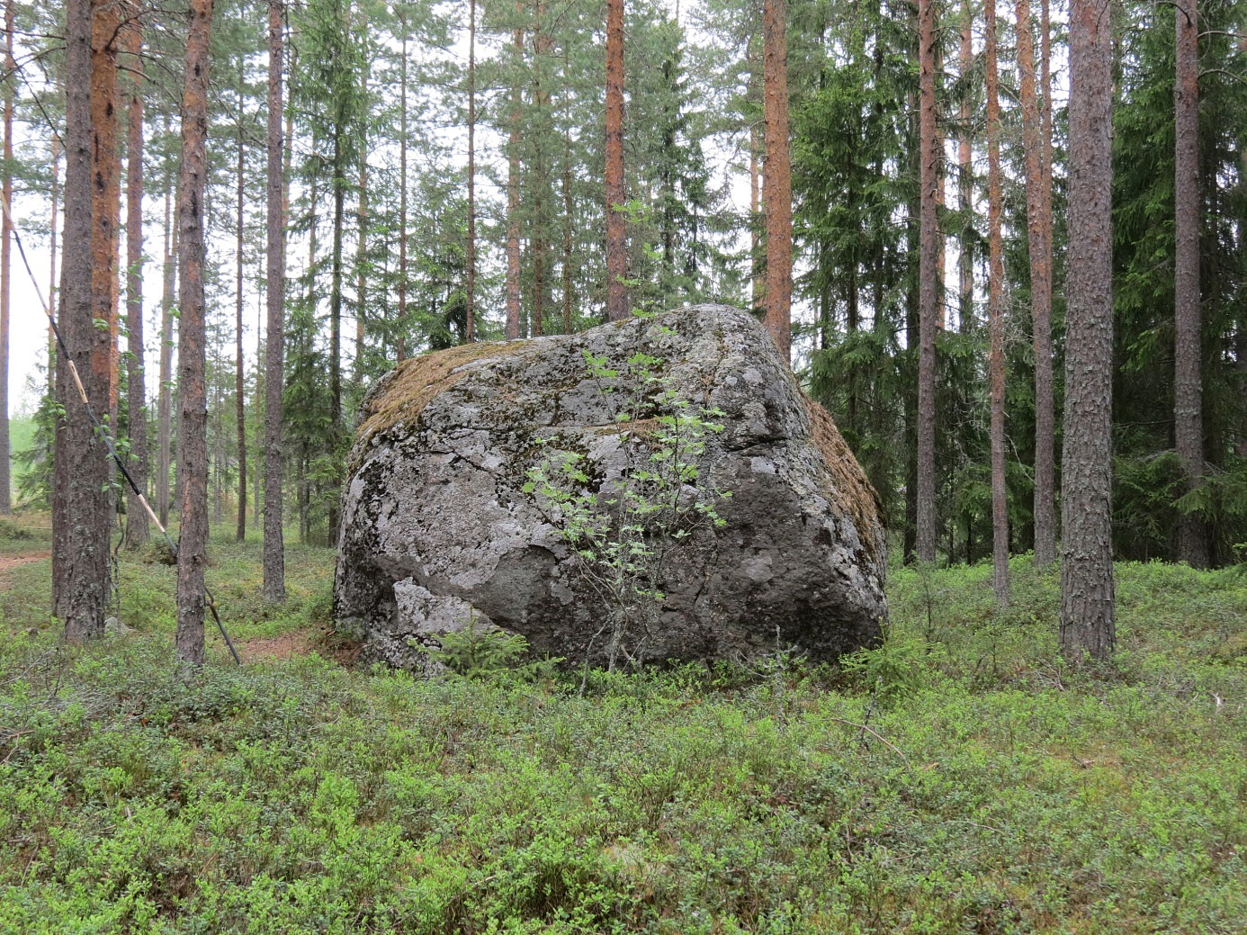 Lisa-Mors sten fotograferad från söder och här har den legat sedan de stora ismassorna fört den med sig under den senaste istiden som slutade för 10 000 år sedan.