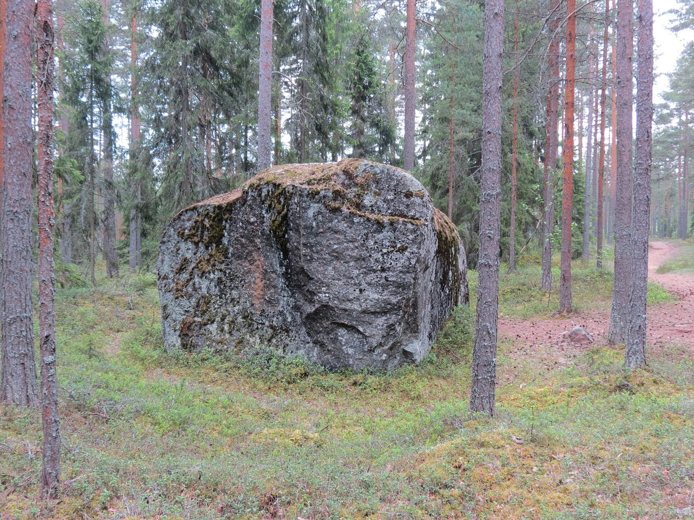 Här stenen fotograferad från norr och det syns tydligt hur stenen kilats sönder och delar av den förts bort. Till höger på bilden syns motionsspåret som går väldigt nära stenen. Det är inte riktigt lätt att klättra upp på den över två meter höga stenen och åtminstone för byns pojkar har det räknats som ett mandomsprov att på egen hand komma upp på den.