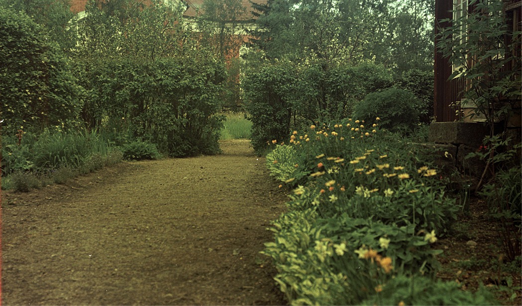 Trädgården var ett kärt fotograferingsobjekt för läraren Selim Björses.