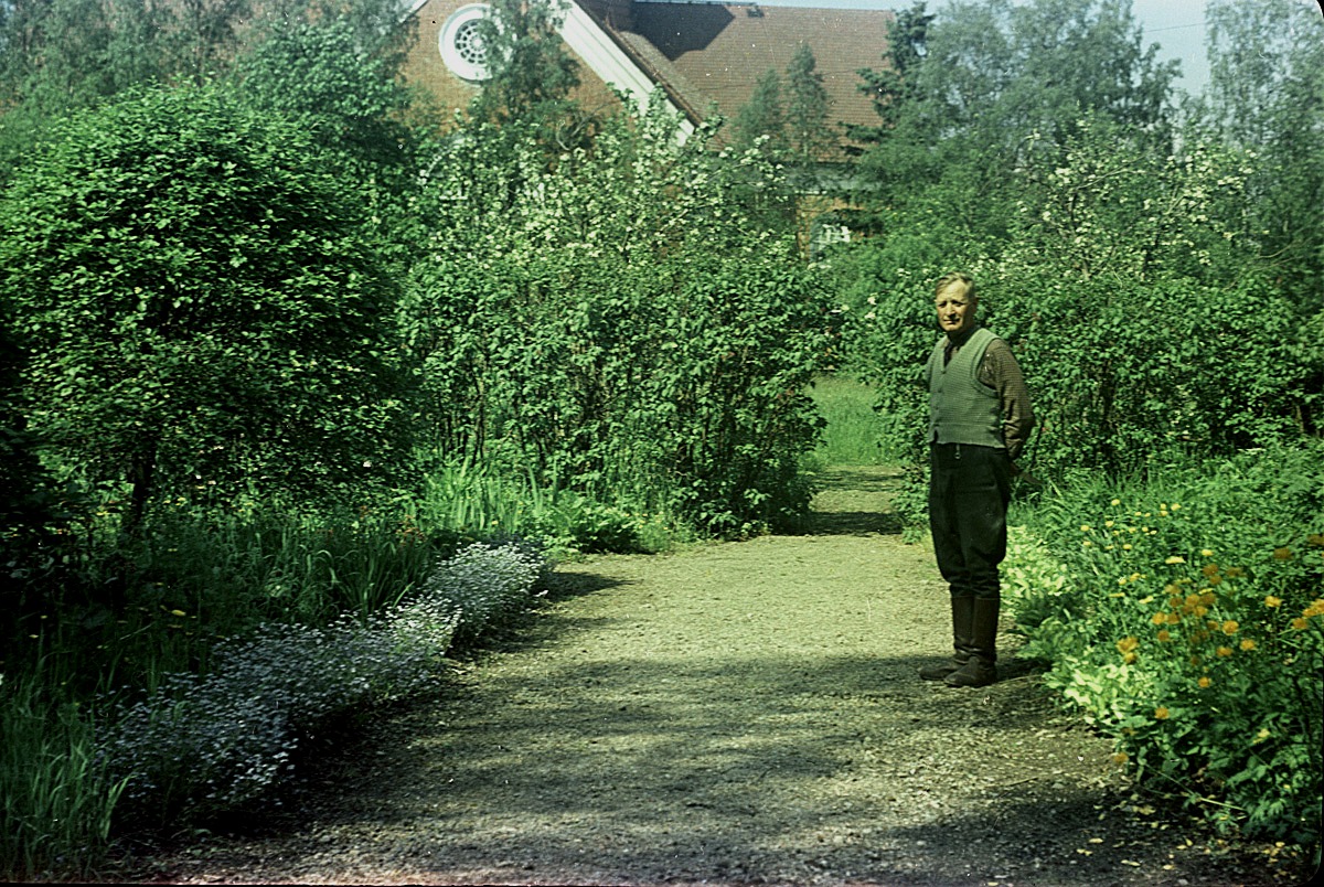 Folkskolläraren Selim Björses i sin fina trädgård år 1957.