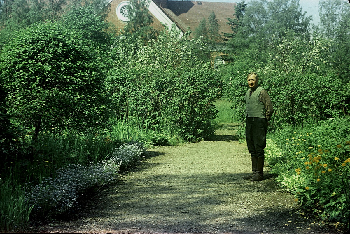 Folkskolläraren Selim Björses i sin fina trädgård år 1957.