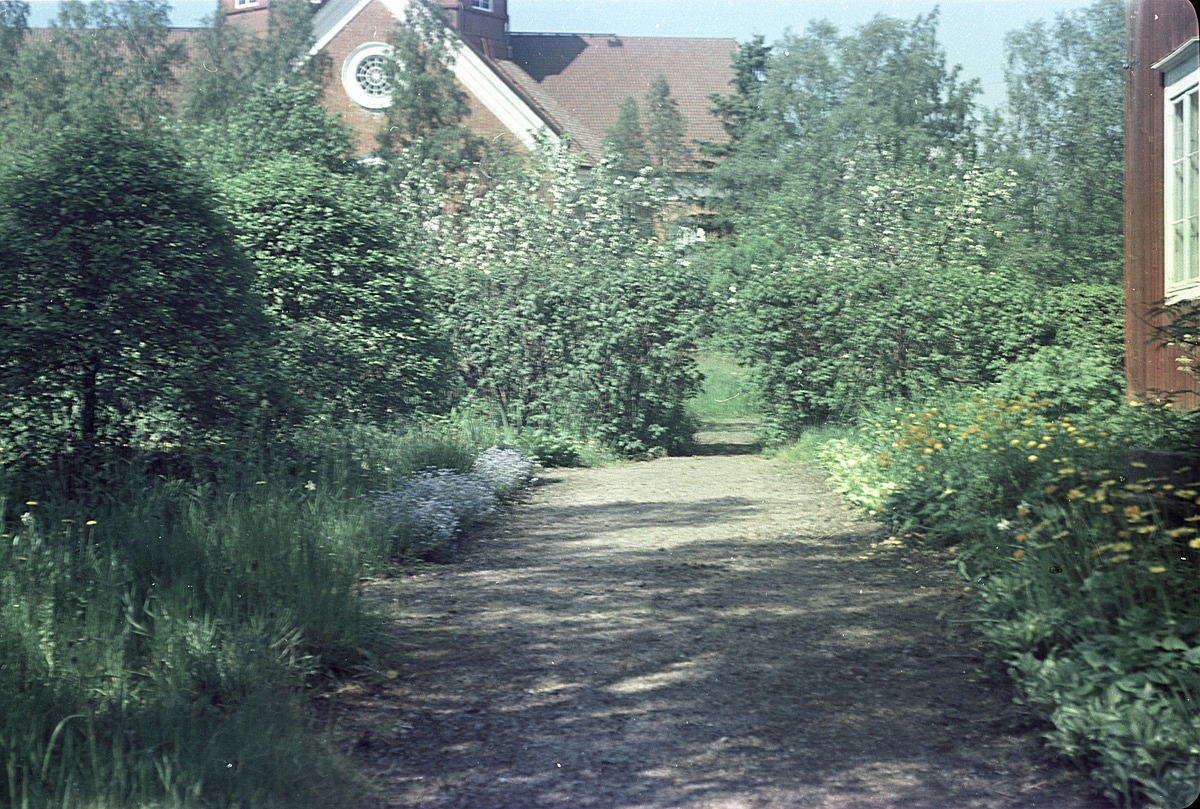 Färgfoto av trädgården utanför lärarbostaden med kyrkan i bakgrunden, året är 1957.