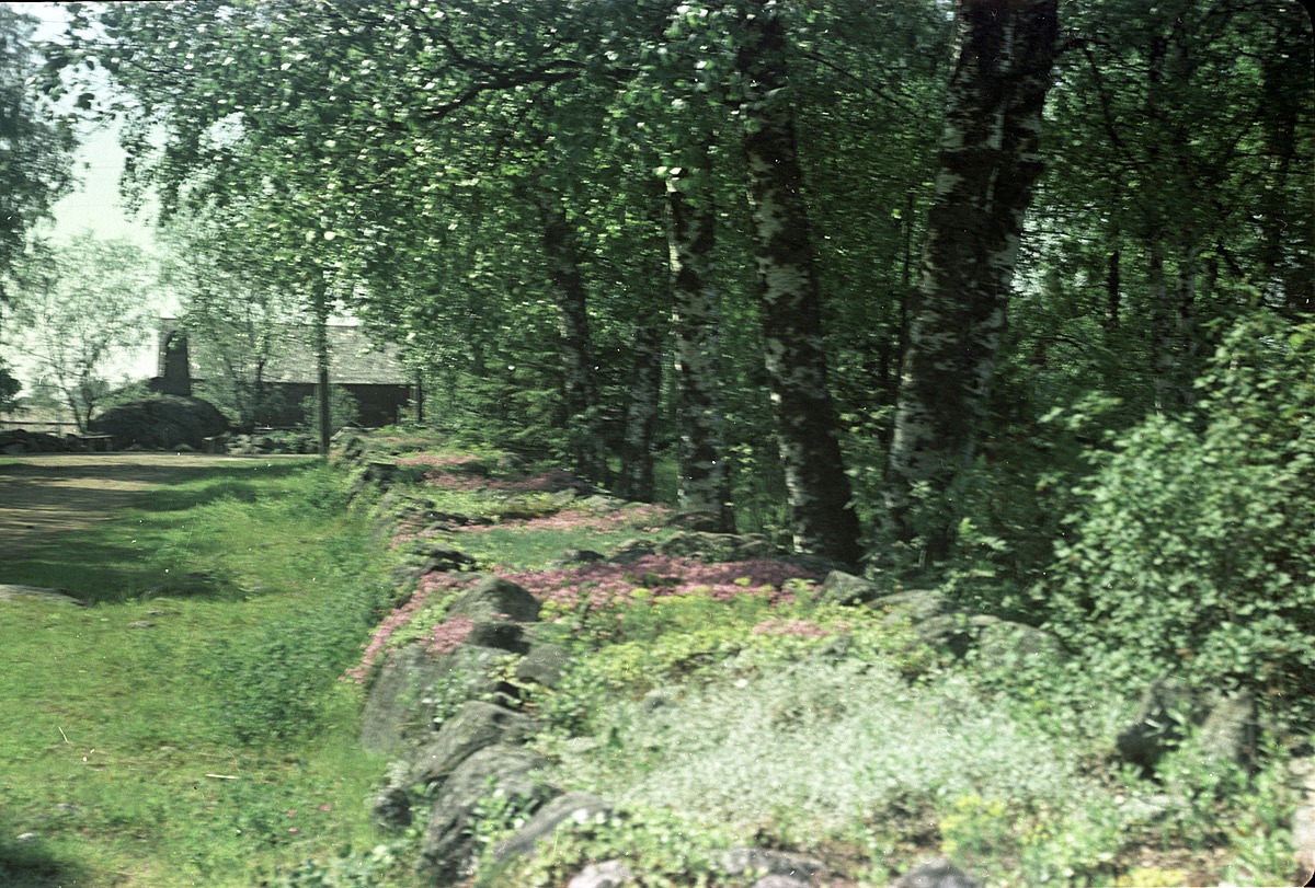 Stenmuren vid södra folkskolan, fotograferad med färgfilm 1957.