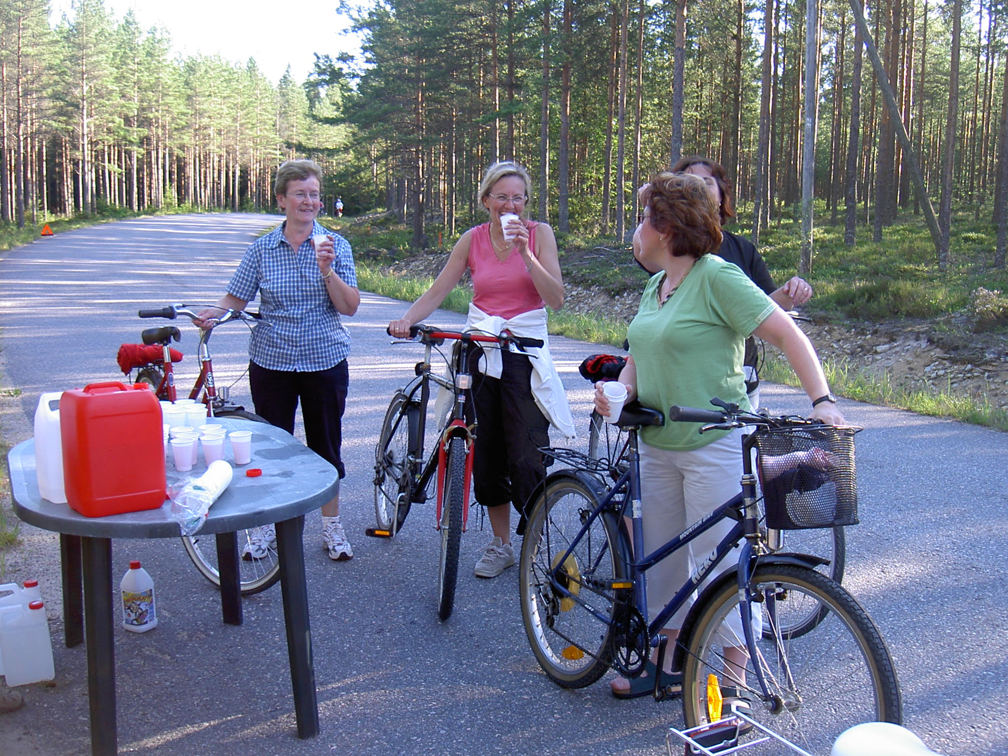 Glada flickor från Klemetsändan tar en paus uppe på Bergåsen.