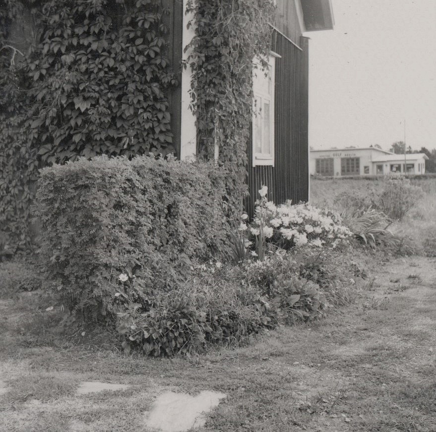 Blommor och klätterväxter i gaveln hos Rosengårds. I bakgrunden Boris Lillsjös Gulf servicestation, som byggdes 1965.