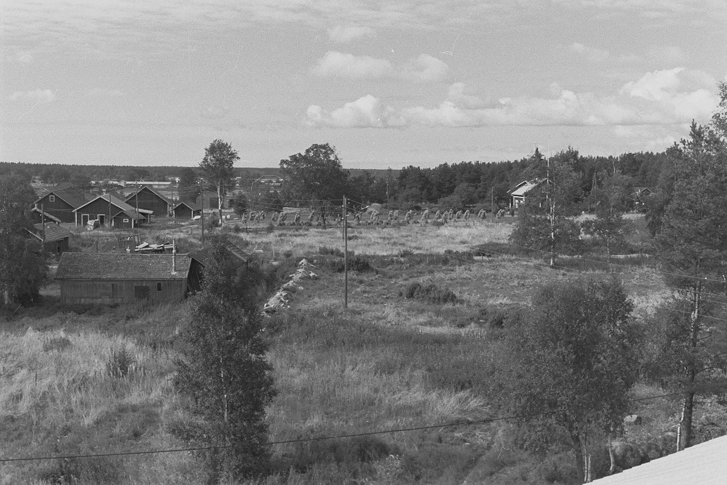Foto från lokaltaket 1972. Till vänster Alfons Lövdahls uthus och i bakgrunden uthusen där Antas. Gården till höger har tillhört Runar och Elna Grans.