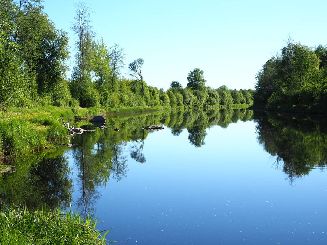 Så här spegelblank kan Lappfjärds å vara under en vacker försommardag år 2018. Fotot är taget av Kim Hammarberg och det är taget uppströms från Storbron i centrala Dagsmark.