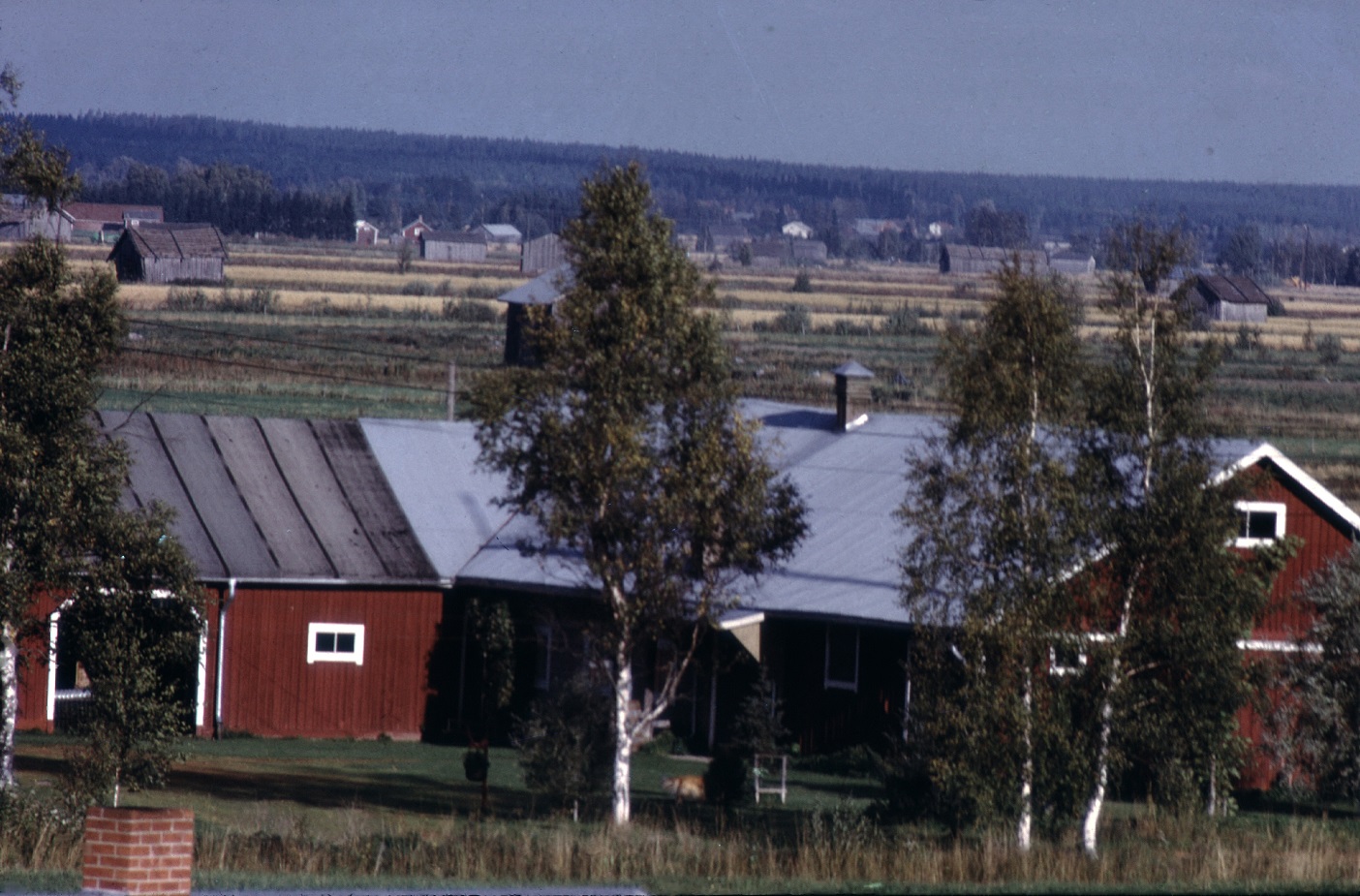 Bakom Storkulls uthus breder åkrarna ut sig på Åbackan. Fotot från lokaltaket 1974.