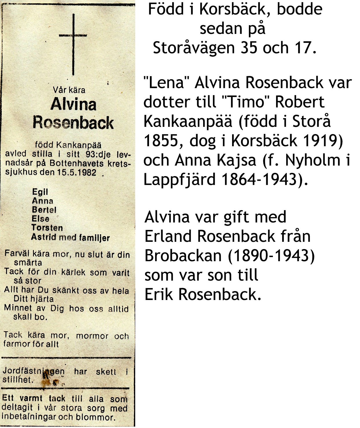 Rosenback Alvina