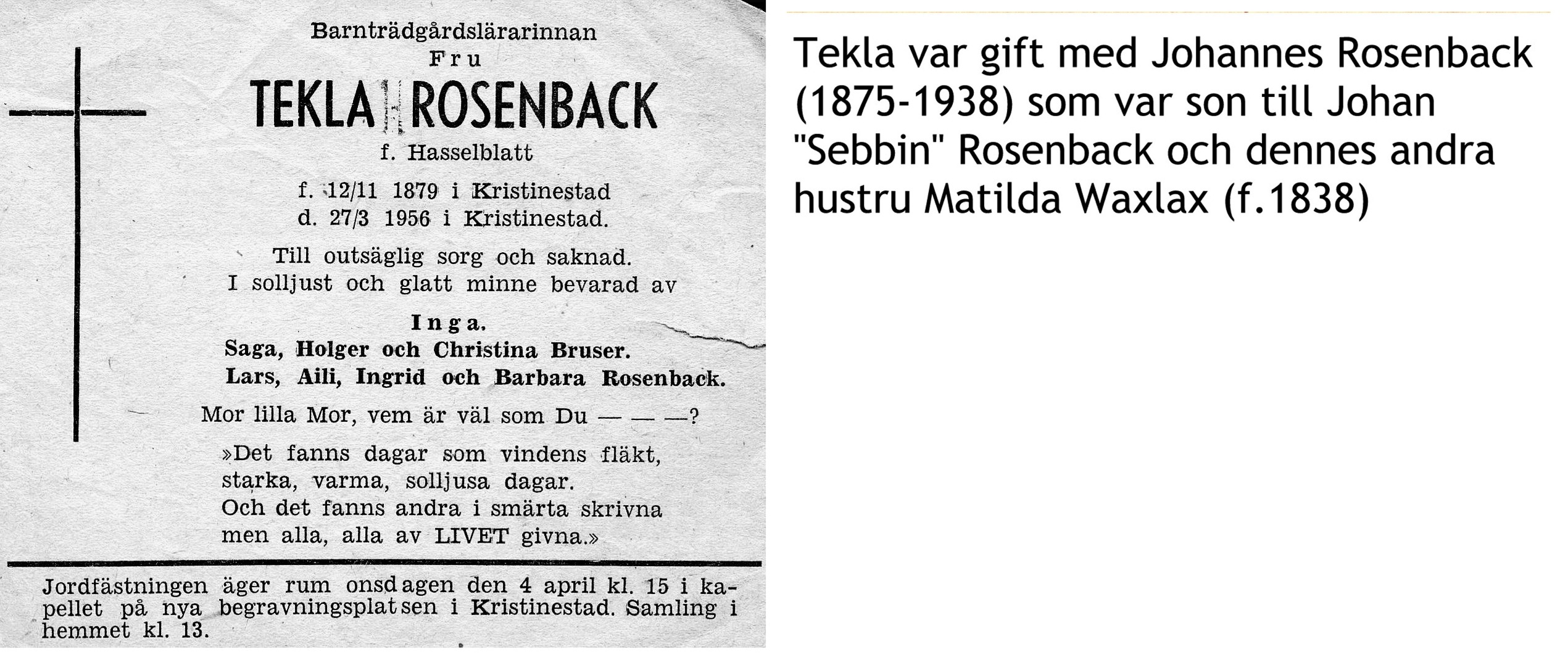 Rosenback Tekla