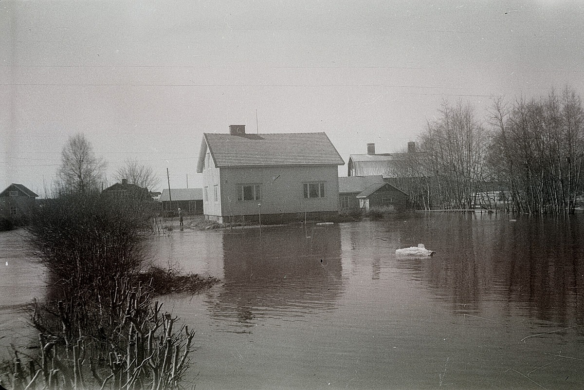 Översvämning i Lappfjärds centrum 1962. Åke Lindahls gård, Sandgrunds såg och många andra byggnader var helt omringade av vattenmassorna.