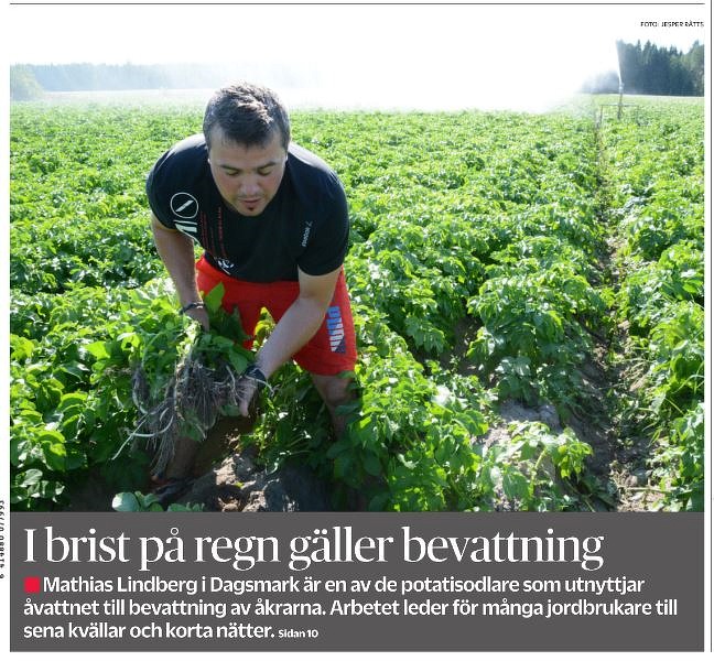 Sommaren 2018 var den varmaste och torraste på långa tider och Mathias Lindberg bevattnade odlingarna och tidningen Syd-Österbotten gjorde ett längre referat om detta 26 juli 2018.